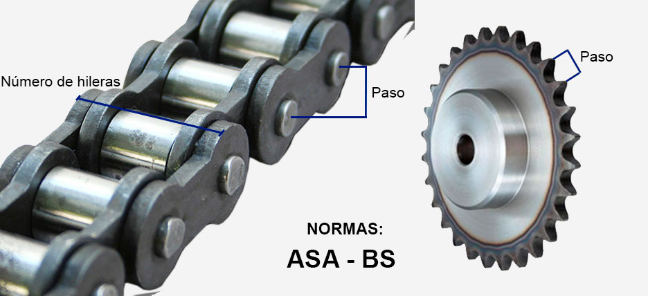 datos para cadenas